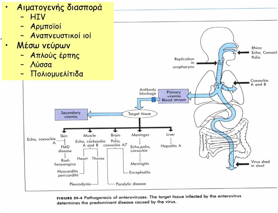 ιοί Μέσω νεύρων Απλούς