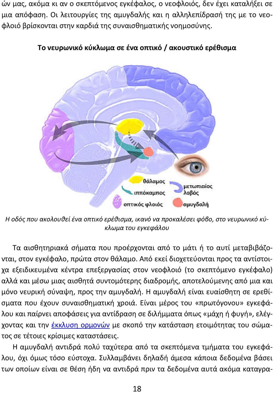 Το νευρωνικό κύκλωμα σε ένα οπτικό / ακουστικό ερέθισμα Η οδός που ακολουθεί ένα οπτικό ερέθισμα, ικανό να προκαλέσει φόβο, στο νευρωνικό κύκλωμα του εγκεφάλου Τα αισθητηριακά σήματα που προέρχονται