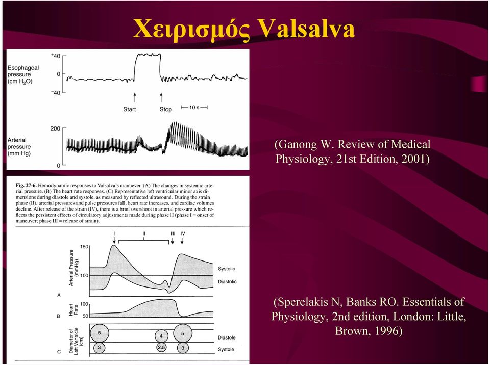 Edition, 2001) (Sperelakis N, Banks RO.