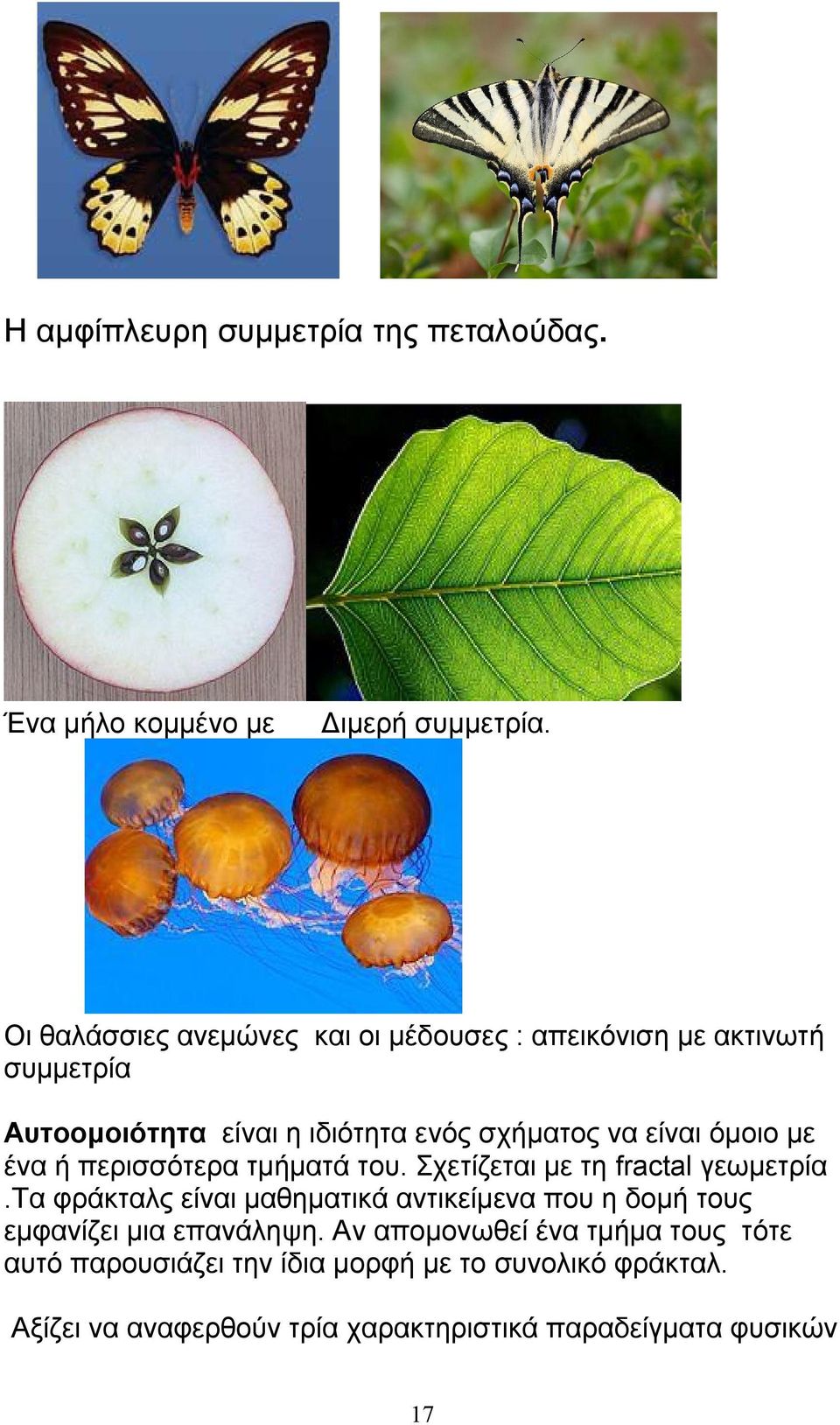 όμοιο με ένα ή περισσότερα τμήματά του. Σχετίζεται με τη fractal γεωμετρία.