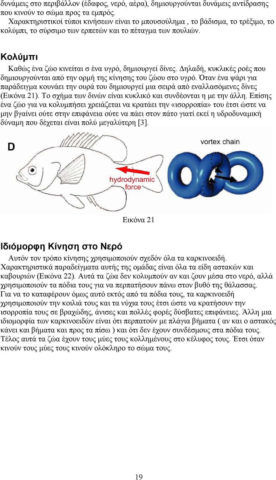 Δηλαδή, κυκλικές ροές που δημιουργούνται από την ορμή της κίνησης του ζώου στο υγρό. Όταν ένα ψάρι για παράδειγμα κουνάει την ουρά του δημιουργεί μια σειρά από εναλλασόμενες δίνες (Εικόνα 21).