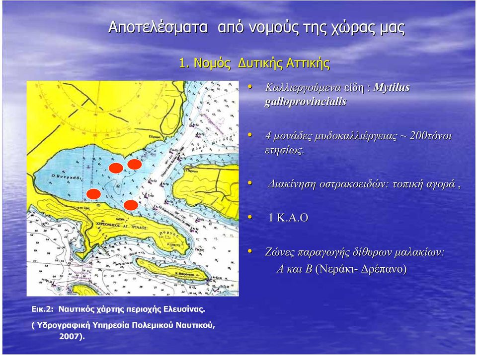 µυδοκαλλιέργειας ~ 200τόνοι ετησίως. ιακίνηση οστρακοειδών: τοπική αγορά, 1 Κ.Α.