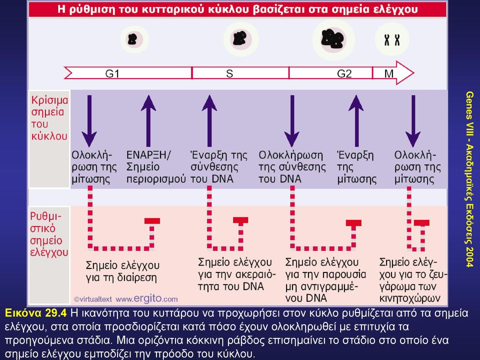 ελέγχου, στα οποία προσδιορίζεται κατά πόσο έχουν ολοκληρωθεί με επιτυχία τα