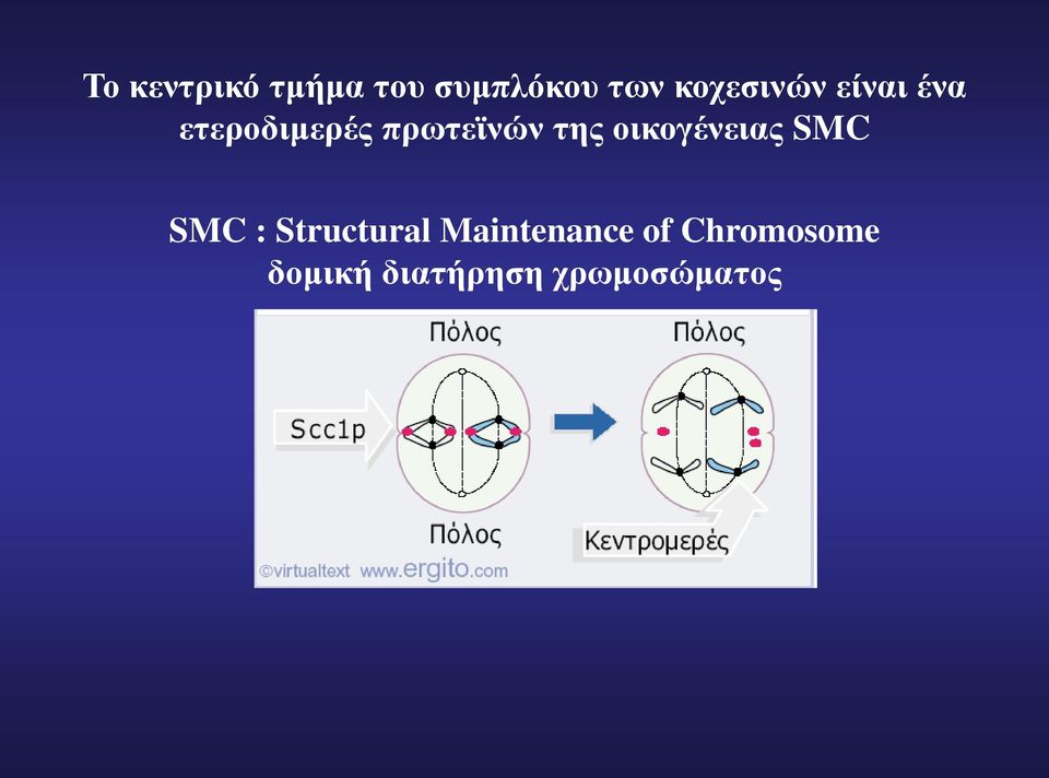 της οικογένειας SMC SMC : Structural