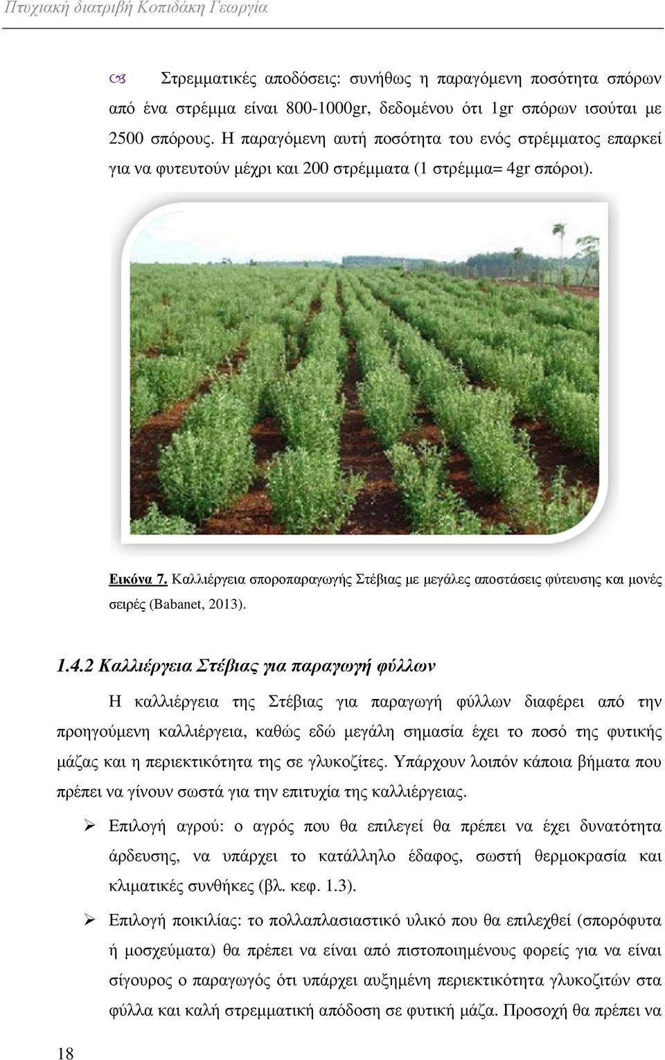 Καλλιέργεια σποροπαραγωγής Στέβιας µε µεγάλες αποστάσεις φύτευσης και µονές σειρές (Babanet, 2013). 1.4.