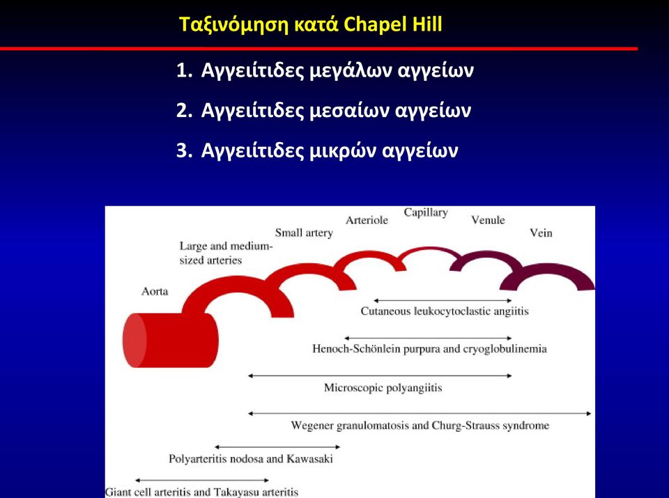 Αγγειίτιδες μεσαίων αγγείων 3.