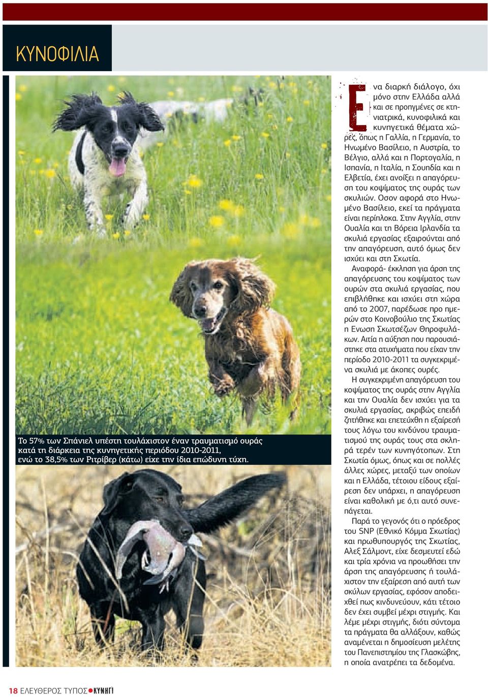 η Πορτογαλία, η Ισπανία, η Ιταλία, η Σουηδία και η Ελβετία, έχει ανοίξει η απαγόρευση του κοψίµατος της ουράς των σκυλιών. Οσον αφορά στο Ηνω- µένο Βασίλειο, εκεί τα πράγµατα είναι περίπλοκα.