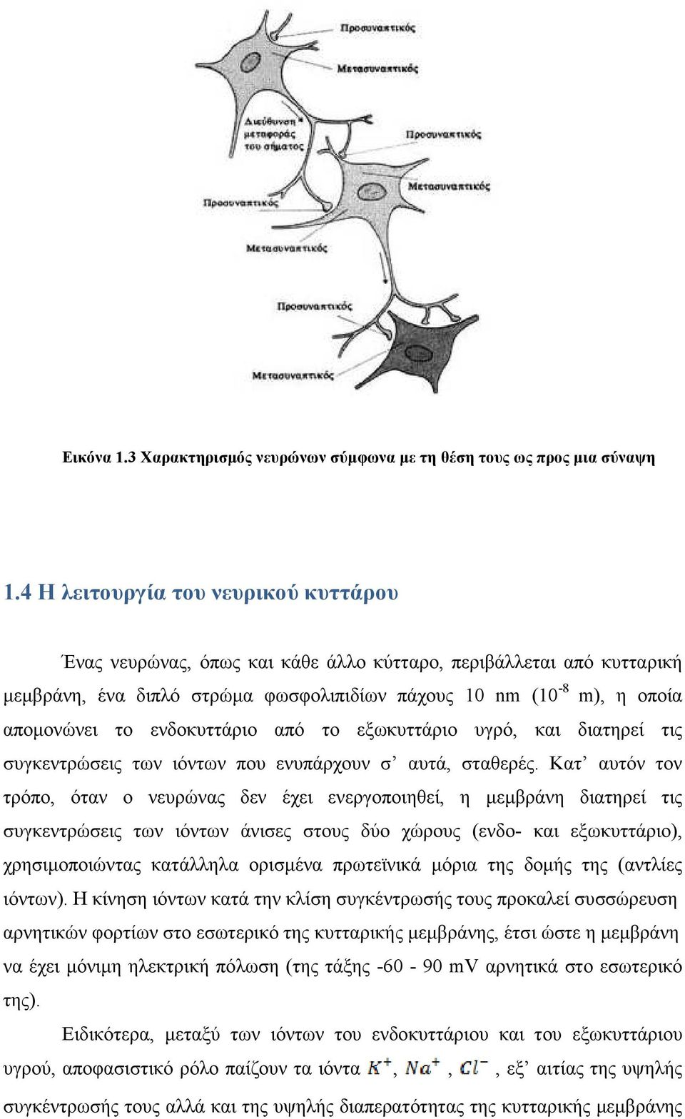 ενδοκυττάριο από το εξωκυττάριο υγρό, και διατηρεί τις συγκεντρώσεις των ιόντων που ενυπάρχουν σ αυτά, σταθερές.