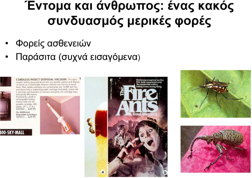 φορές Φορείς ασθενειών