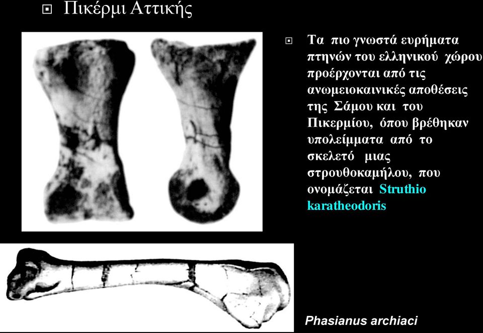 και του Πικερμίου, όπου βρέθηκαν υπολείμματα από το σκελετό μιας