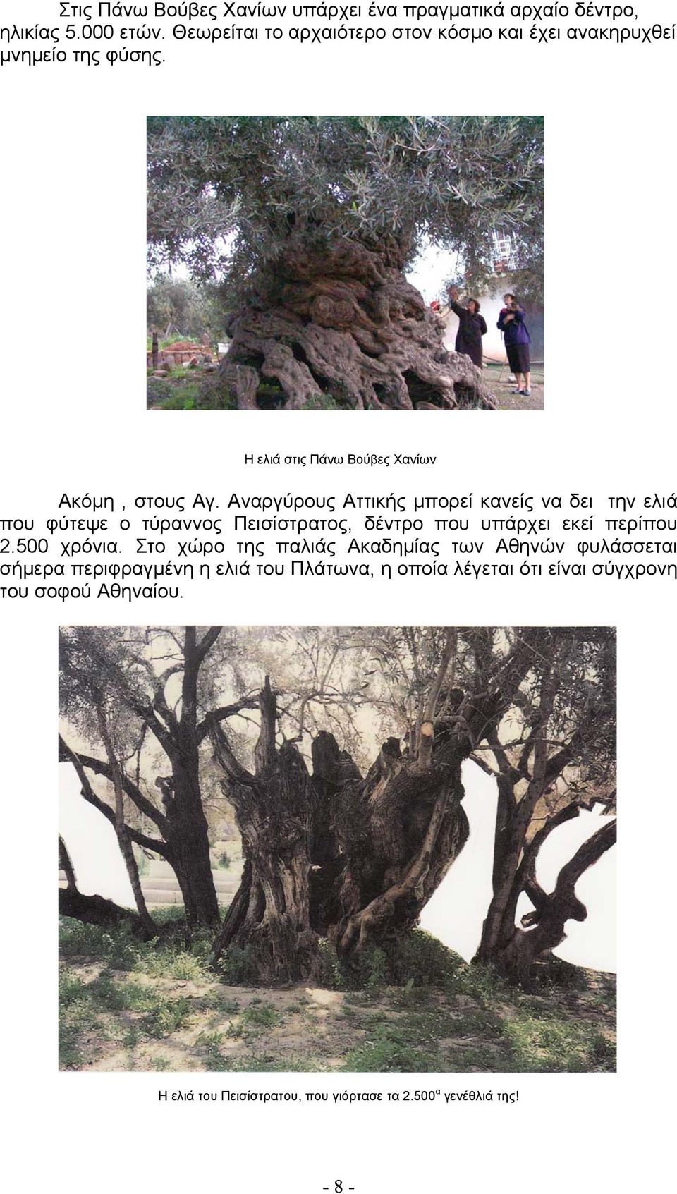 Αναργύρους Αττικής μπορεί κανείς να δει την ελιά που φύτεψε ο τύραννος Πεισίστρατος, δέντρο που υπάρχει εκεί περίπου 2.500 χρόνια.