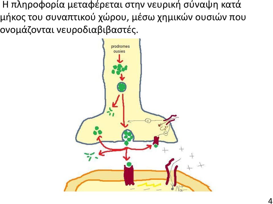 συναπτικού χώρου, μέσω χημικών