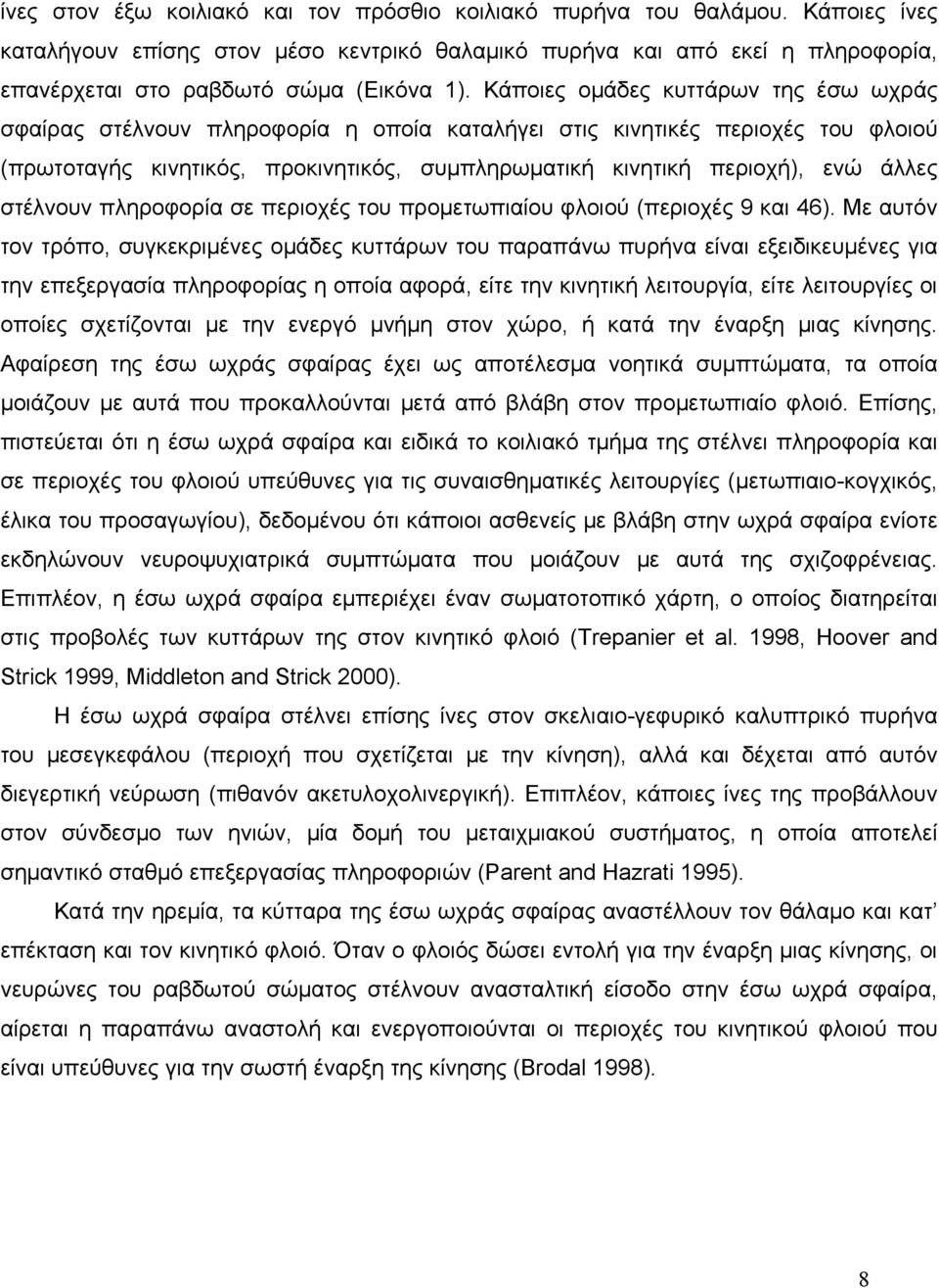 Κάποιες ομάδες κυττάρων της έσω ωχράς σφαίρας στέλνουν πληροφορία η οποία καταλήγει στις κινητικές περιοχές του φλοιού (πρωτοταγής κινητικός, προκινητικός, συμπληρωματική κινητική περιοχή), ενώ άλλες