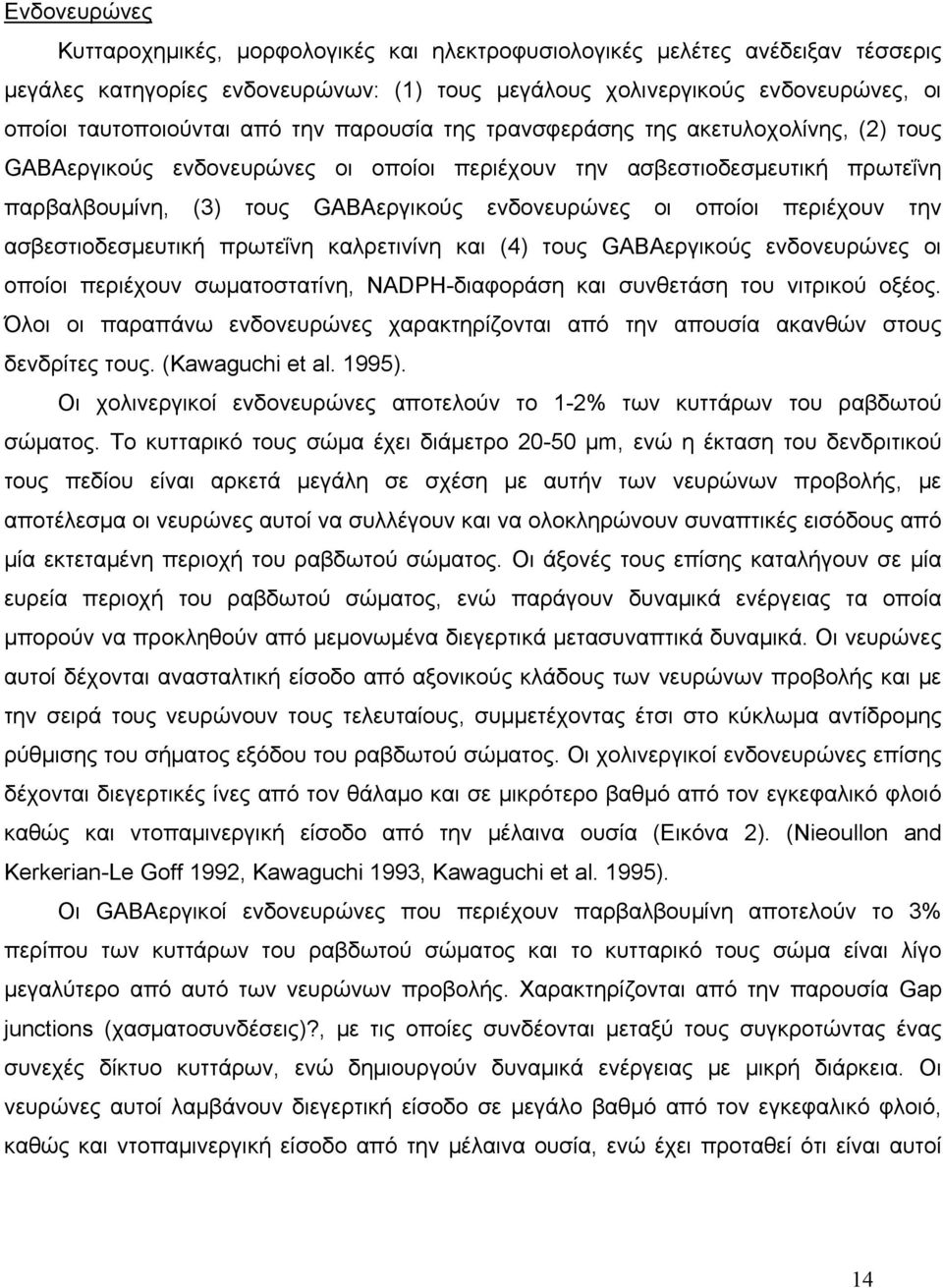 οποίοι περιέχουν την ασβεστιοδεσμευτική πρωτεΐνη καλρετινίνη και (4) τους GABAεργικούς ενδονευρώνες οι οποίοι περιέχουν σωματοστατίνη, NADPH-διαφοράση και συνθετάση του νιτρικού οξέος.