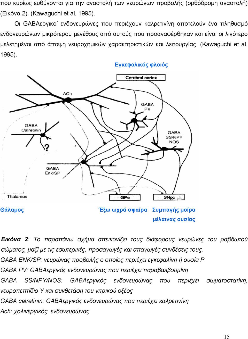 χαρακτηριστικών και λειτουργίας. (Kawaguchi et al. 1995).