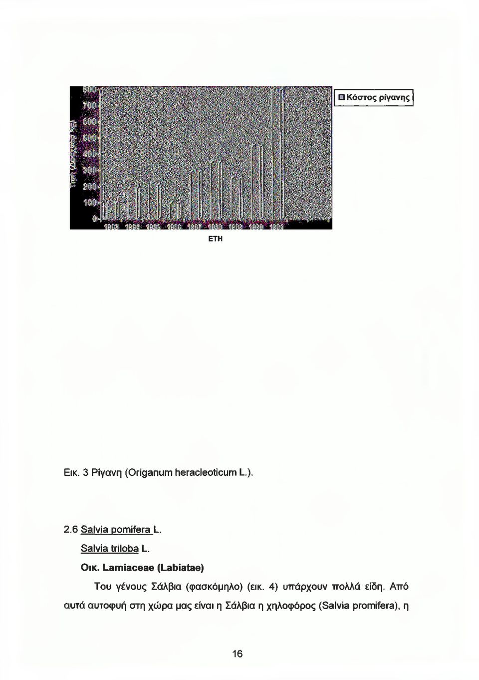 Lamiaceae (Labiatae) Του γένους Σάλβια (φασκόμηλο) (εικ.