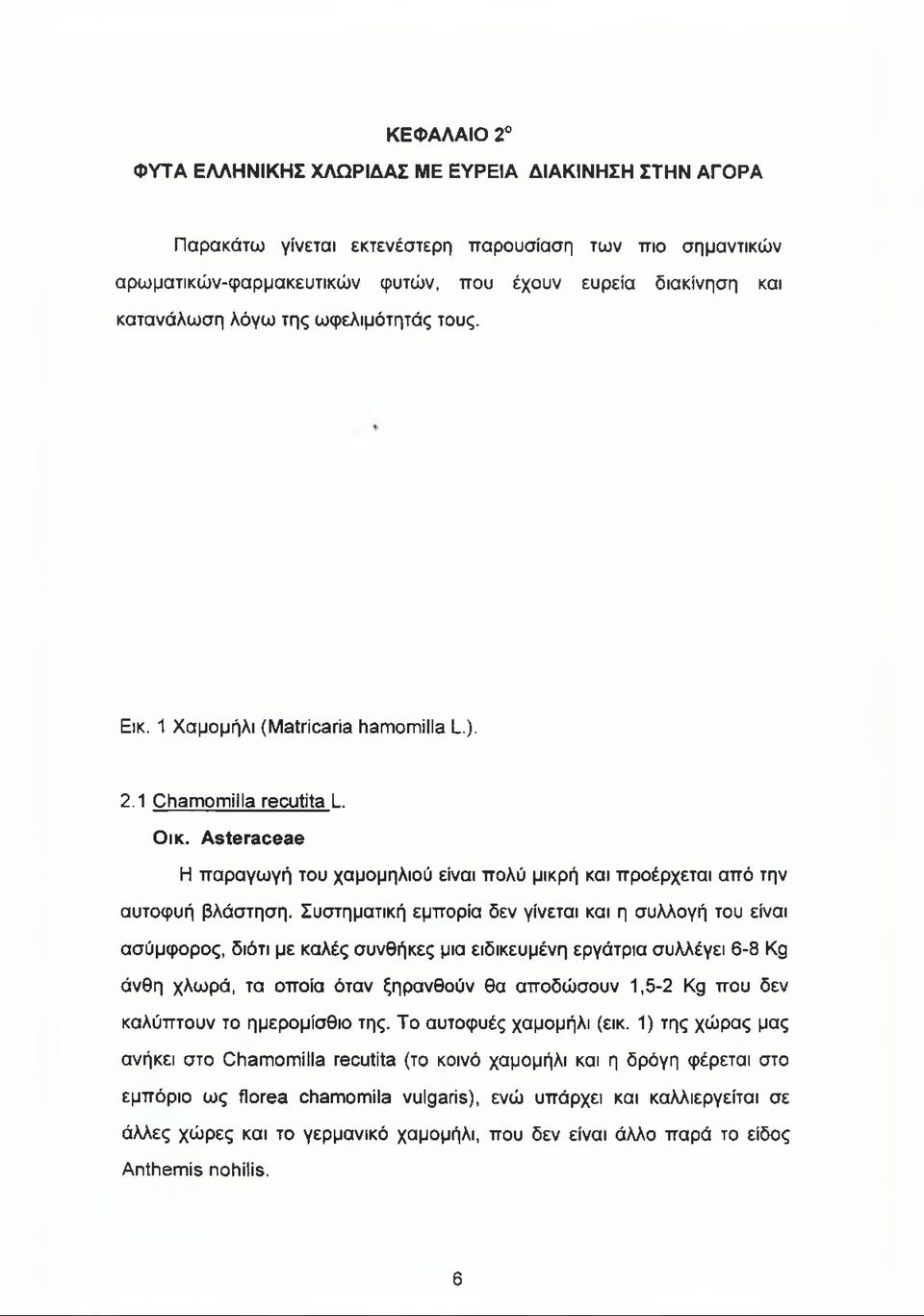 Συστηματική εμπορία δεν γίνεται και η συλλογή του είναι ασύμφορος, διότι με καλές συνθήκες μια ειδικευμένη εργάτρια συλλέγει 6-8 Kg άνθη χλωρά, τα οποία όταν ξηρανθούν θα αποδώσουν 1,5-2 Kg που δεν