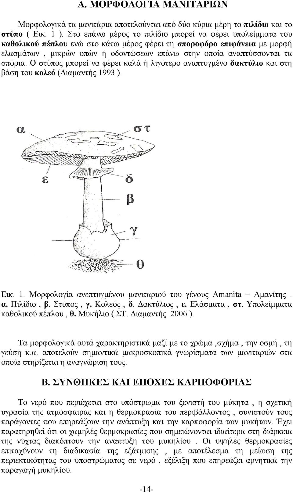 τα σπόρια. Ο στύπος μπορεί να φέρει καλά ή λιγότερο αναπτυγμένο δακτύλιο και στη βάση του κολεό (Διαμαντής 1993 ). Εικ. 1. Μορφολογία ανεπτυγμένου μανιταριού του γένους Amanita Αμανίτης. α. Πιλίδιο, β.