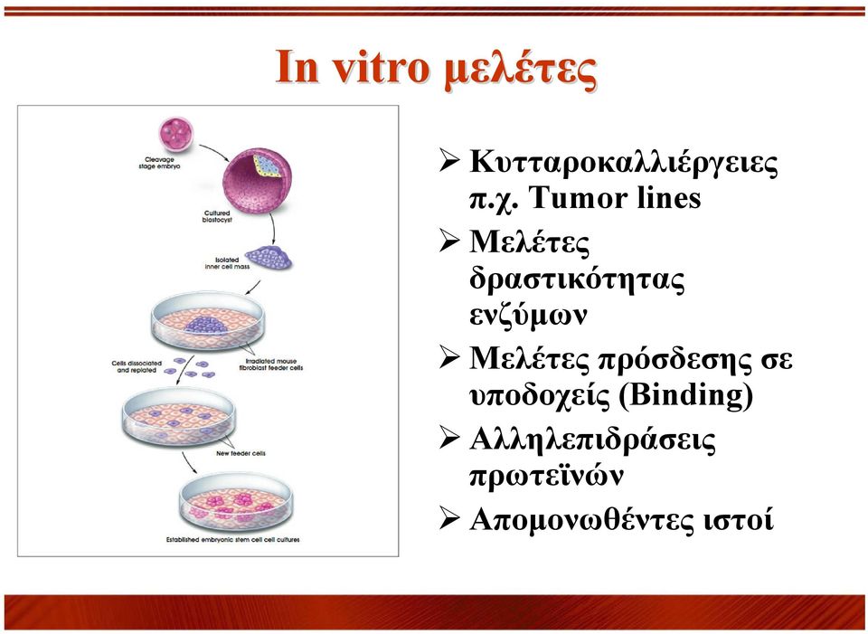 Μελέτες πρόσδεσης σε υποδοχείς (Binding)