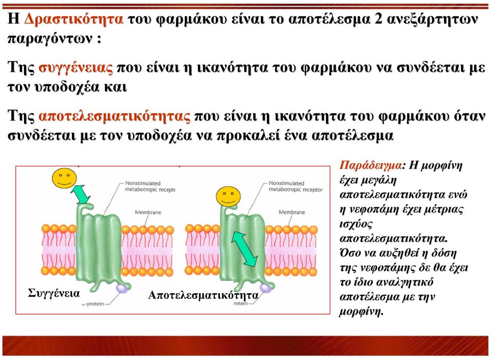 προκαλεί ένα αποτέλεσμα Συγγένεια Αποτελεσματικότητα Παράδειγμα: Η μορφίνη έχει μεγάλη αποτελεσματικότητα ενώ η νεφοπάμη έχει