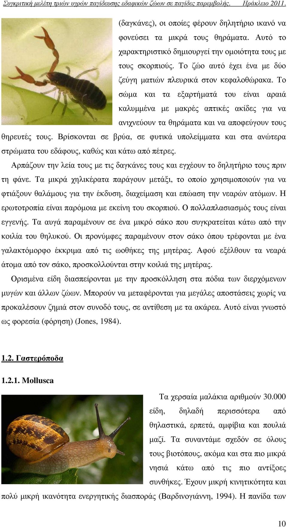 Το σώµα και τα εξαρτήµατά του είναι αραιά καλυµµένα µε µακρές απτικές ακίδες για να ανιχνεύουν τα θηράµατα και να αποφεύγουν τους θηρευτές τους.