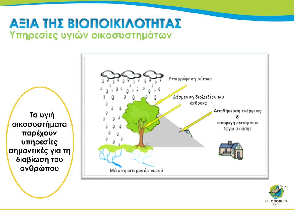 οικοσυστήματα παρέχουν