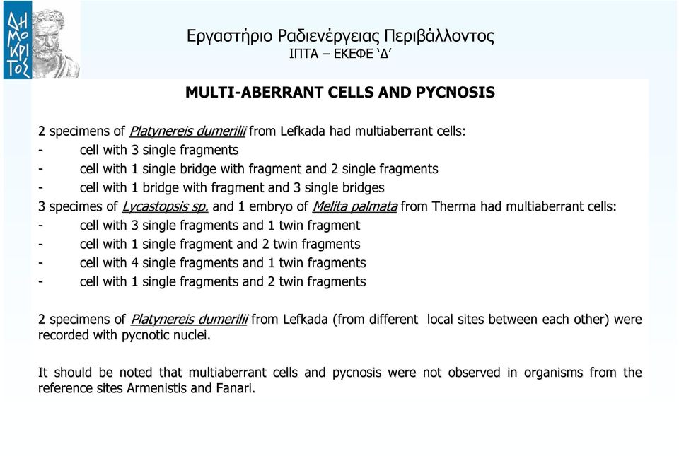 and 1 embryo of Melita palmata from Therma had multiaberrant cells: - cell with 3 single fragments and 1 twin fragment - cell with 1 single fragment and 2 twin fragments - cell with 4 single