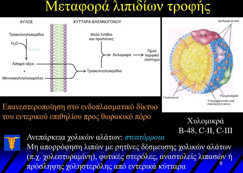 λιπών με ρητίνες δέσμευσης χο