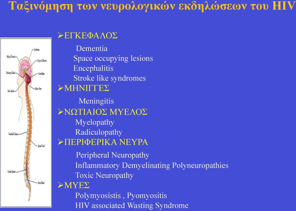 Myelopathy Radiculopathy Ø ΠΕΡΙΦΕΡΙΚΑ ΝΕΥΡΑ Peripheral Neuropathy Inflammatory