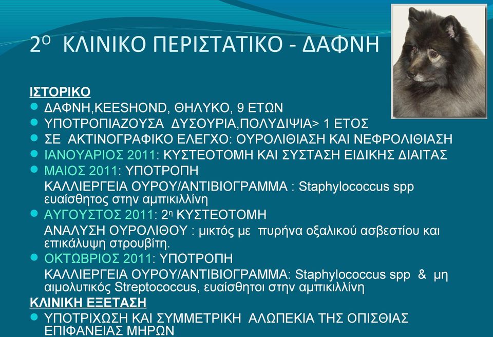 αμπικιλλίνη ΑΥΓΟΥΣΤΟΣ 2011: 2η ΚΥΣΤΕΟΤΟΜΗ ΑΝΑΛΥΣΗ ΟΥΡΟΛΙΘΟΥ : μικτός με πυρήνα οξαλικού ασβεστίου και επικάλυψη στρουβίτη.