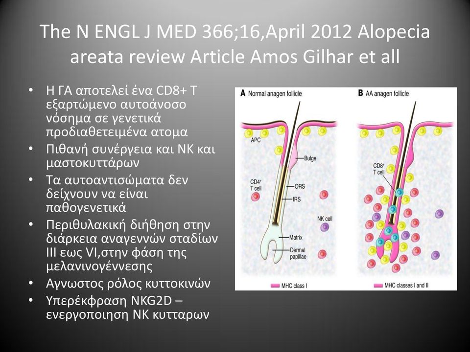 Τα αυτοαντισώματα δεν δείχνουν να είναι παθογενετικά Περιθυλακική διήθηση στην διάρκεια αναγεννών σταδίων