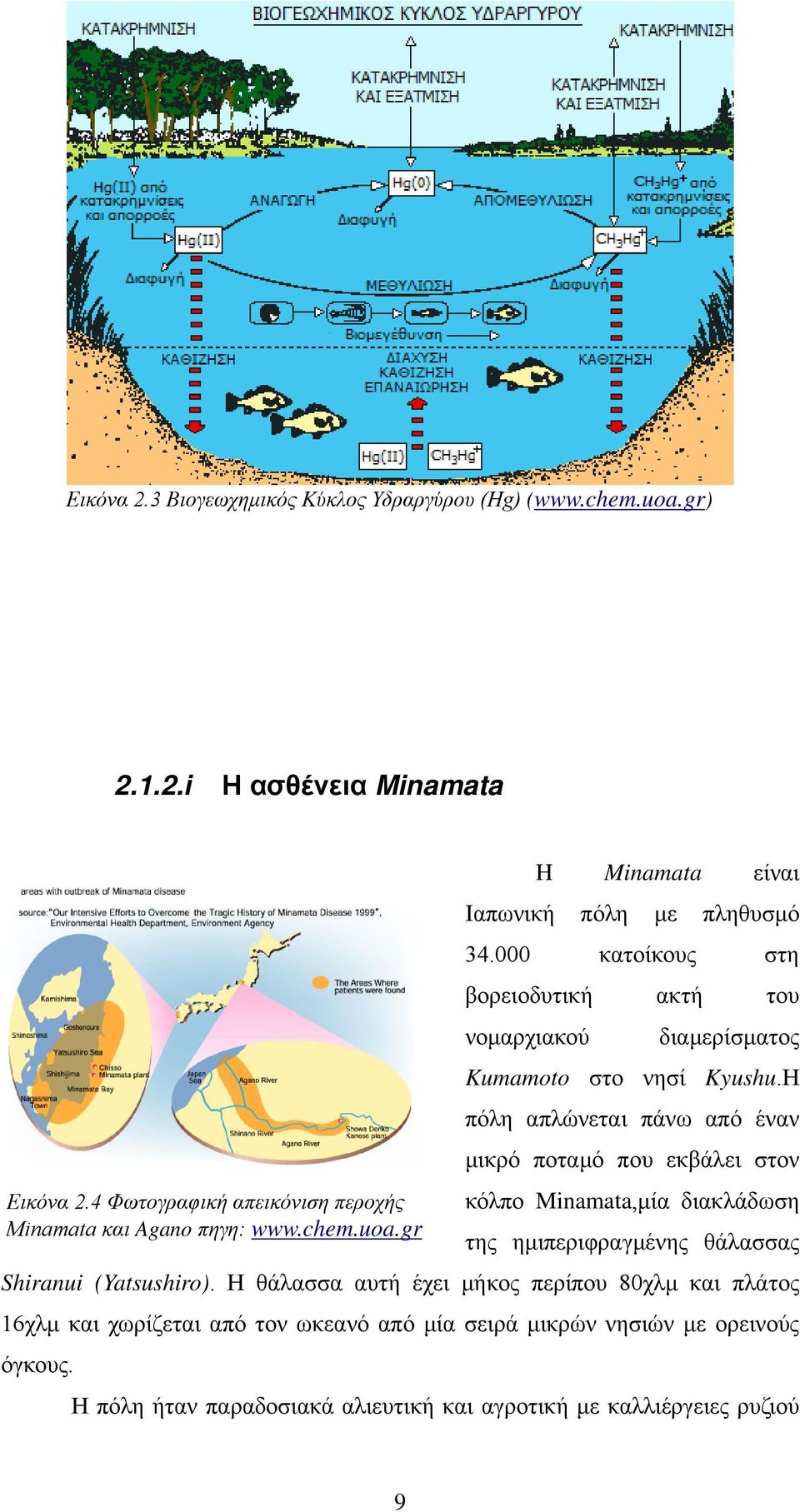 4 Φωτογραφική απεικόνιση περοχής Minamata και Agano πηγη: www.chem.uoa.gr κόλπο Minamata,μία διακλάδωση της ημιπεριφραγμένης θάλασσας Shiranui (Yatsushiro).