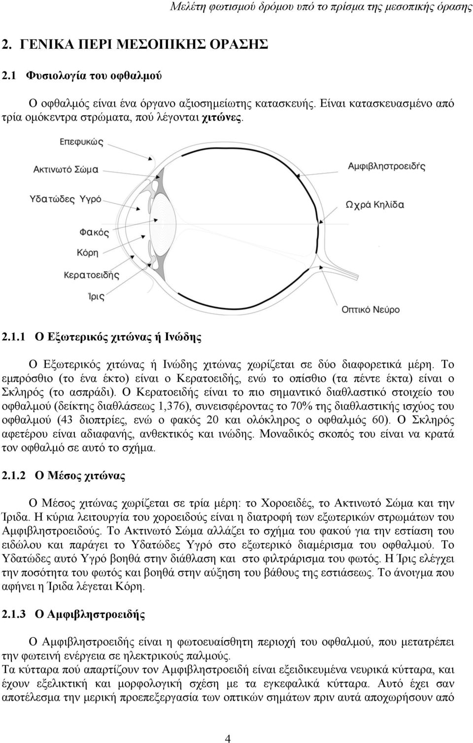 Tο εµπρόσθιο (το ένα έκτο) είναι ο Kερατοειδής, ενώ το οπίσθιο (τα πέντε έκτα) είναι ο Σκληρός (το ασπράδι).