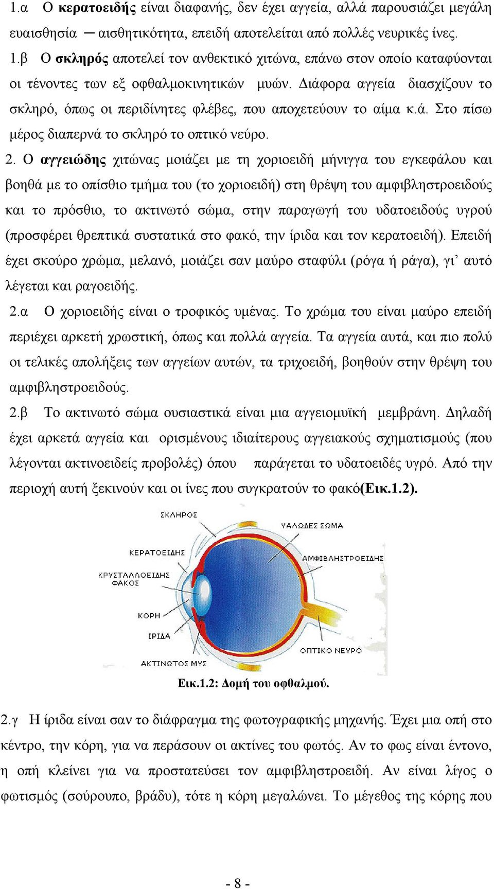 Διάφορα αγγεία διασχίζουν το σκληρό, όπως οι περιδίνητες φλέβες, που αποχετεύουν το αίμα κ.ά. Στο πίσω μέρος διαπερνά το σκληρό το οπτικό νεύρο. 2.