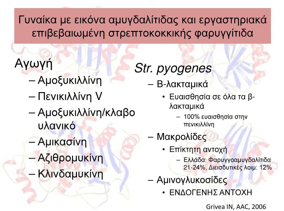 pyogenes Β-λακταμικά Ευαισθησία σε όλα τα β- λακταμικά 100% ευαισθησία στην πενικιλλίνη Μακρολίδες