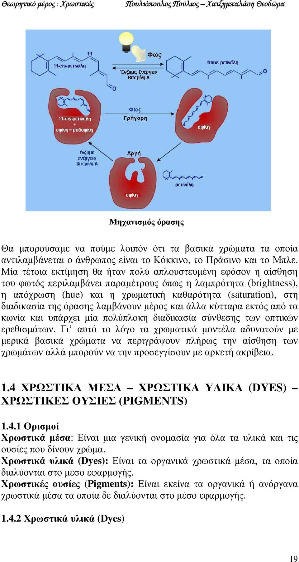 διαδικασία της όρασης λαµβάνουν µέρος και άλλα κύτταρα εκτός από τα κωνία και υπάρχει µία πολύπλοκη διαδικασία σύνθεσης των οπτικών ερεθισµάτων.