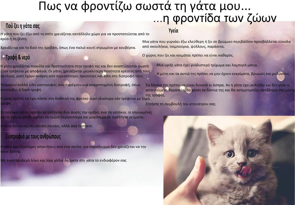 από σκουλήκια, τσιμπούρια, ψύλλους, παράσιτα. Τροφή & νερό Η γάτα χρειάζεται ποικιλία και θρεπτικότητα στην τροφή της και δεν αναπτύσσεται σωστά όταν τρέφεται με αποφάγια.