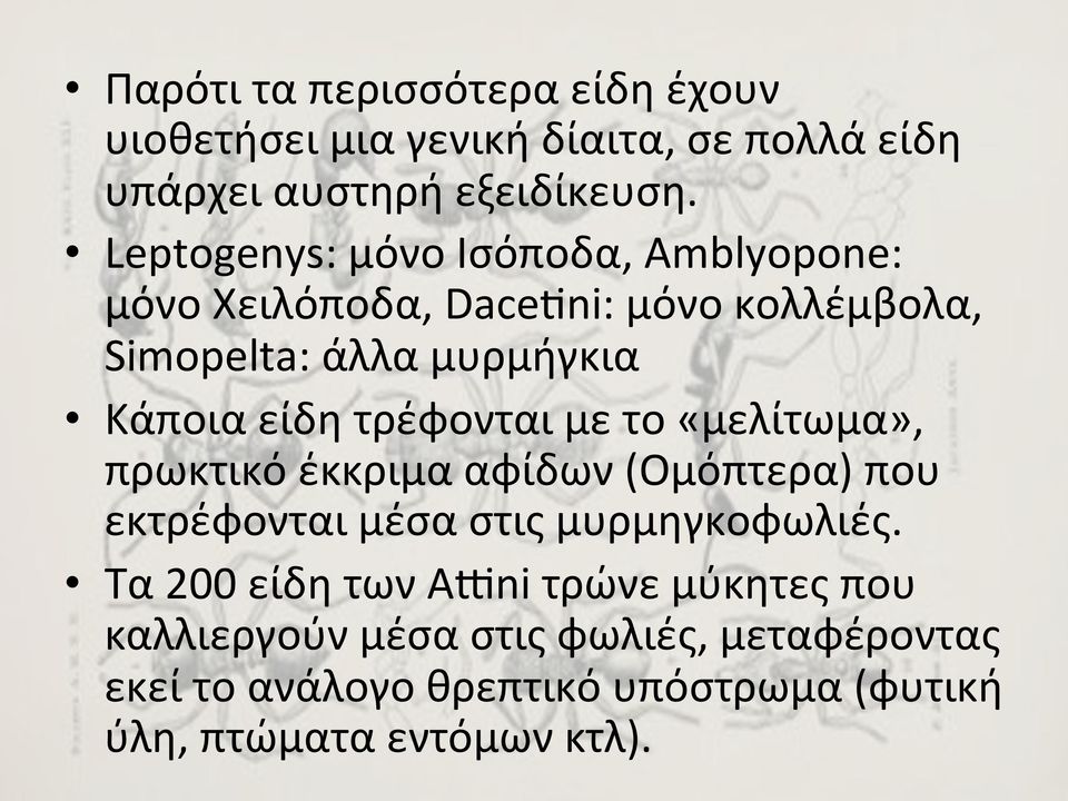 τρέφονται με το «μελίτωμα», πρωκτικό έκκριμα αφίδων (Ομόπτερα) που εκτρέφονται μέσα στις μυρμηγκοφωλιές.