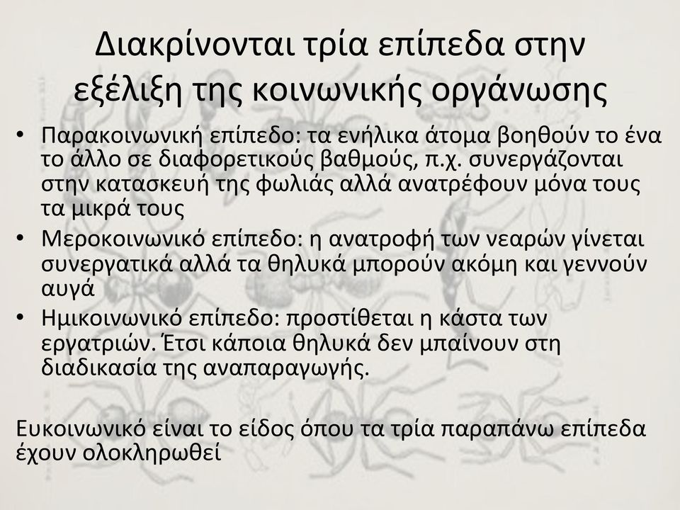 συνεργάζονται στην κατασκευή της φωλιάς αλλά ανατρέφουν μόνα τους τα μικρά τους Μεροκοινωνικό επίπεδο: η ανατροφή των νεαρών γίνεται