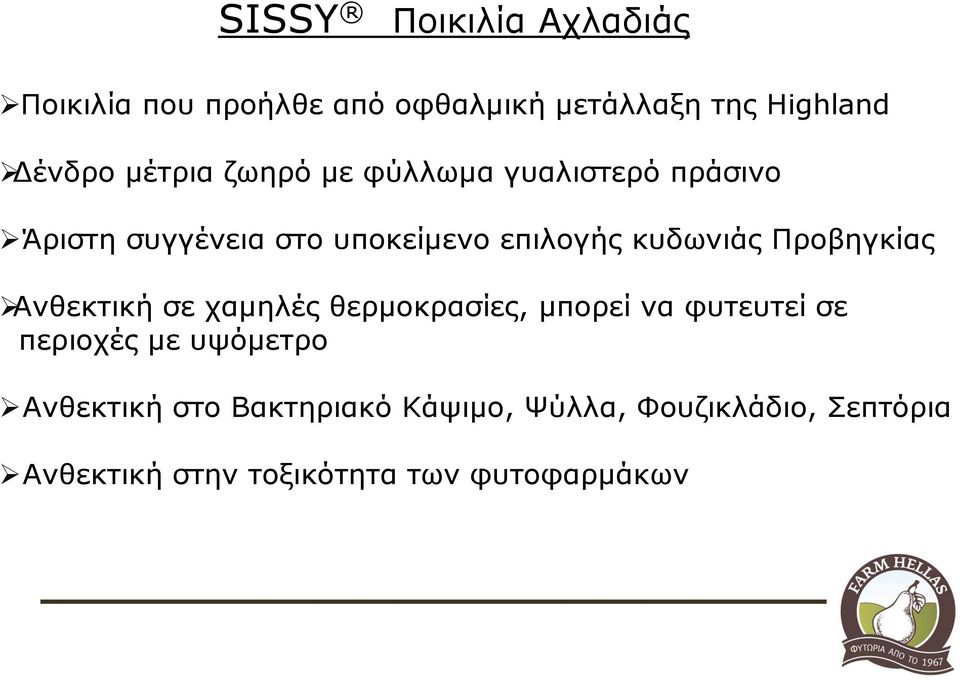 Προβηγκίας Ανθεκτική σε χαμηλές θερμοκρασίες, μπορεί να φυτευτεί σε περιοχές με υψόμετρο