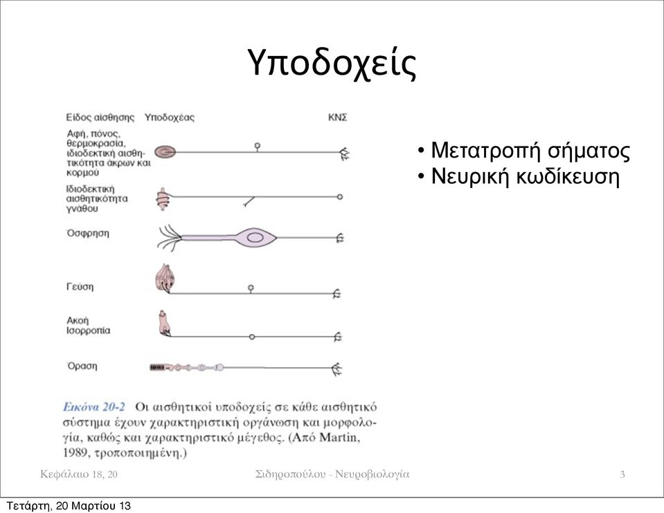 κωδίκευση Κεφάλαιο 18,