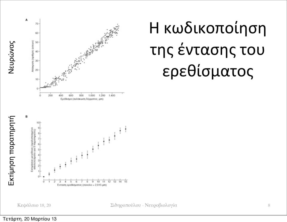 παρατηρητή Νευρώνας Κεφάλαιο