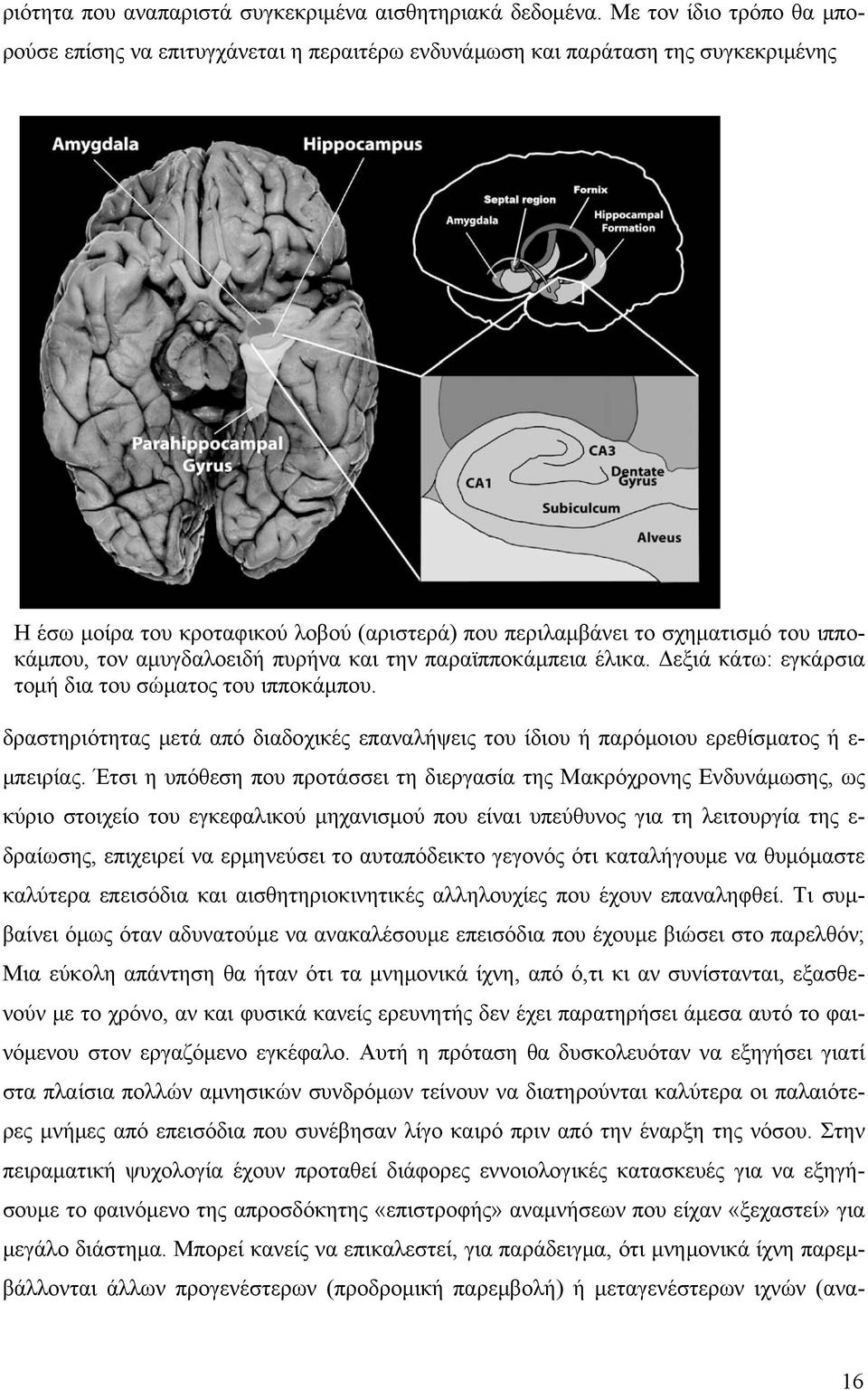 τον αμυγδαλοειδή πυρήνα και την παραϊπποκάμπεια έλικα. Δεξιά κάτω: εγκάρσια τομή δια του σώματος του ιπποκάμπου.