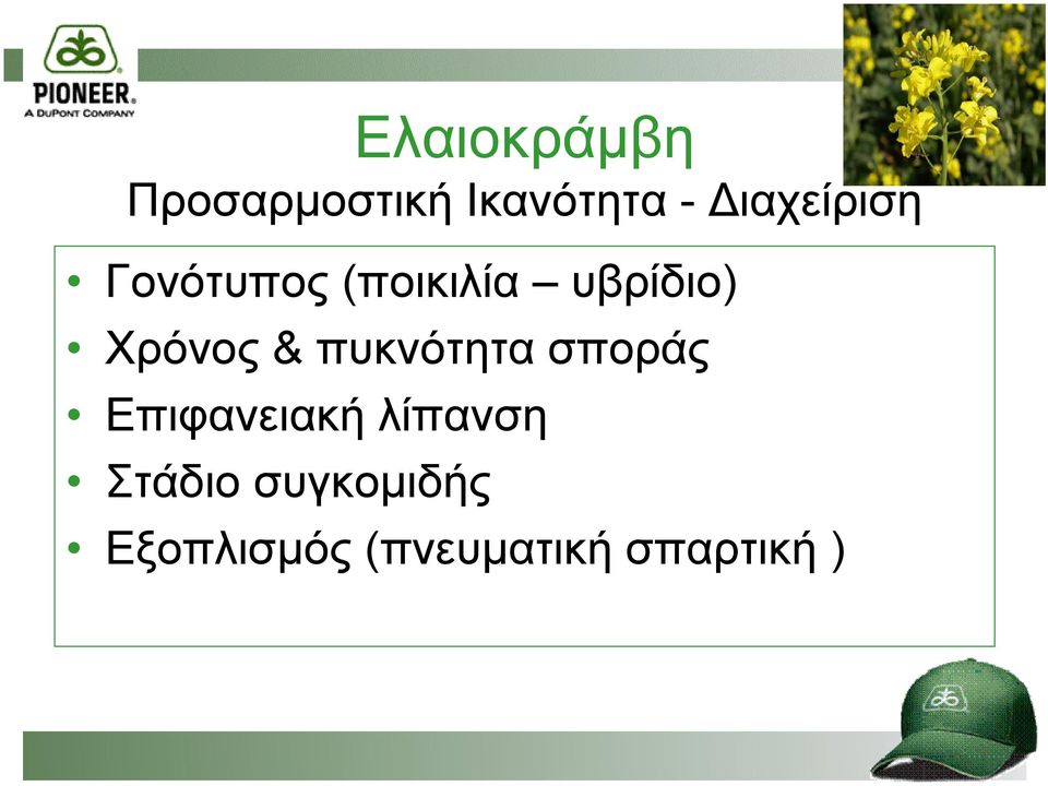 Χρόνος & πυκνότητα σποράς Επιφανειακή