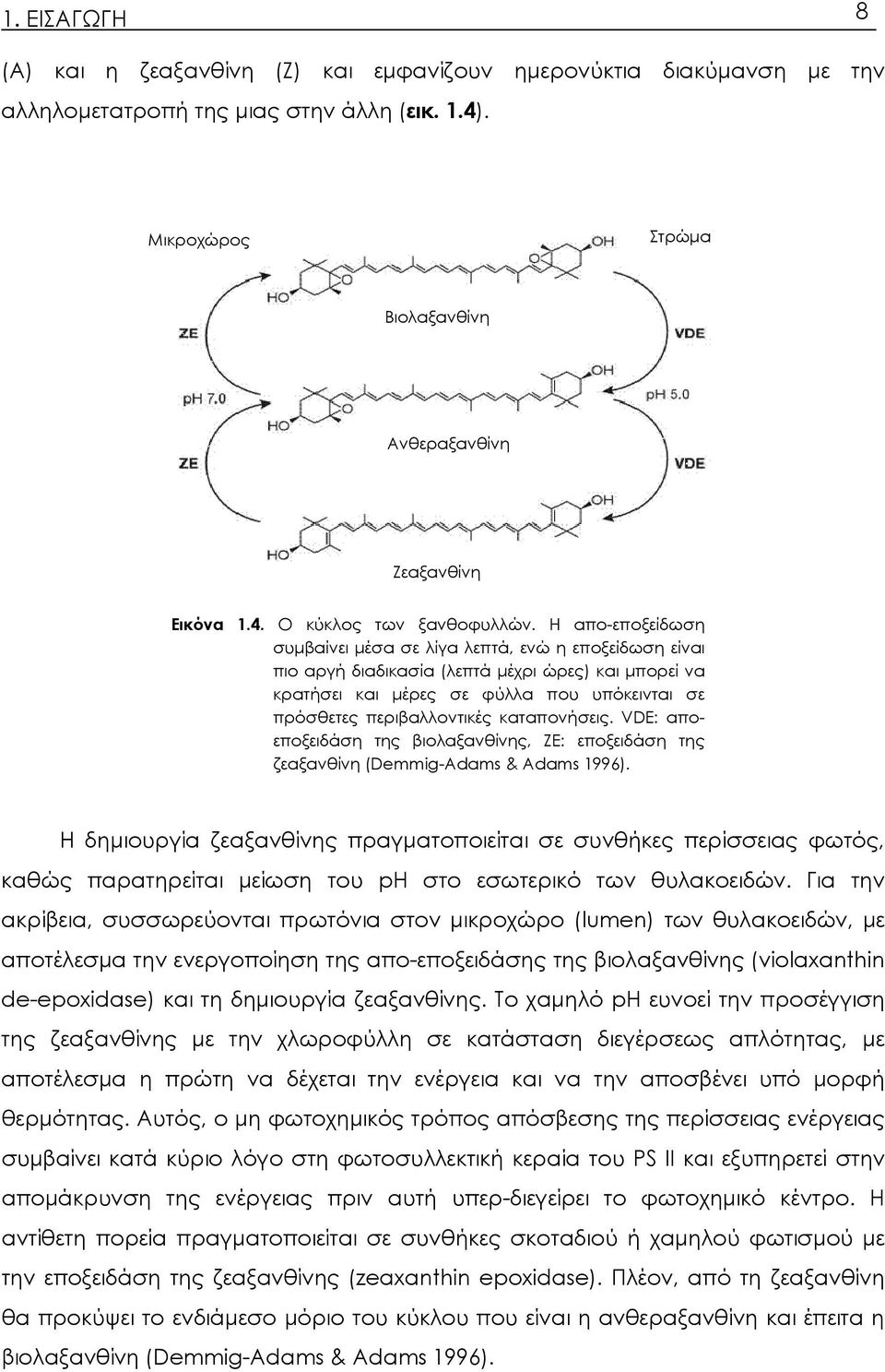 καταπονήσεις. VDE: αποεποξειδάση της βιολαξανθίνης, ZE: εποξειδάση της ζεαξανθίνη (Demmig-Adams & Adams 1996).
