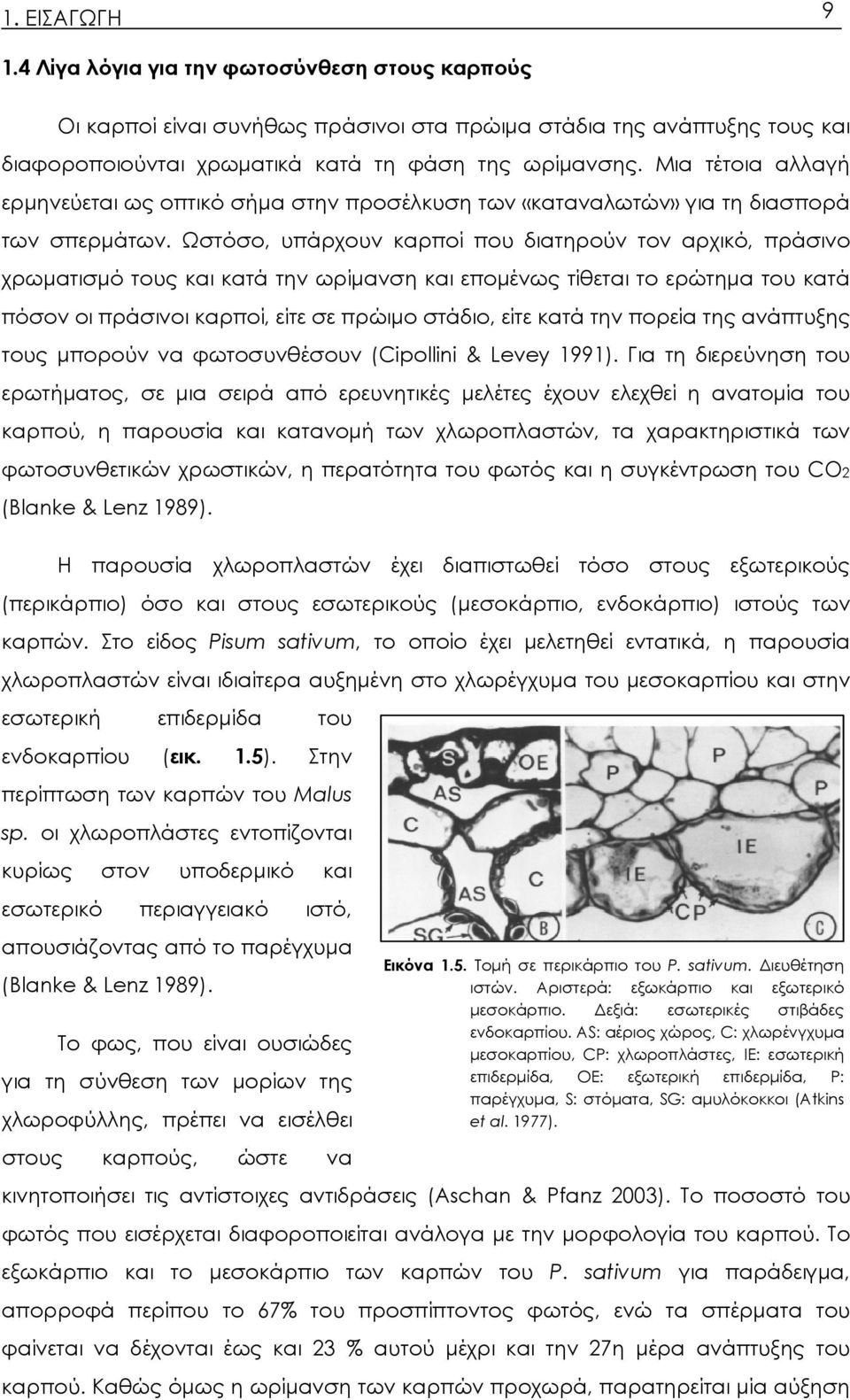 Ωστόσο, υπάρχουν καρποί που διατηρούν τον αρχικό, πράσινο χρωματισμό τους και κατά την ωρίμανση και επομένως τίθεται το ερώτημα του κατά πόσον οι πράσινοι καρποί, είτε σε πρώιμο στάδιο, είτε κατά την