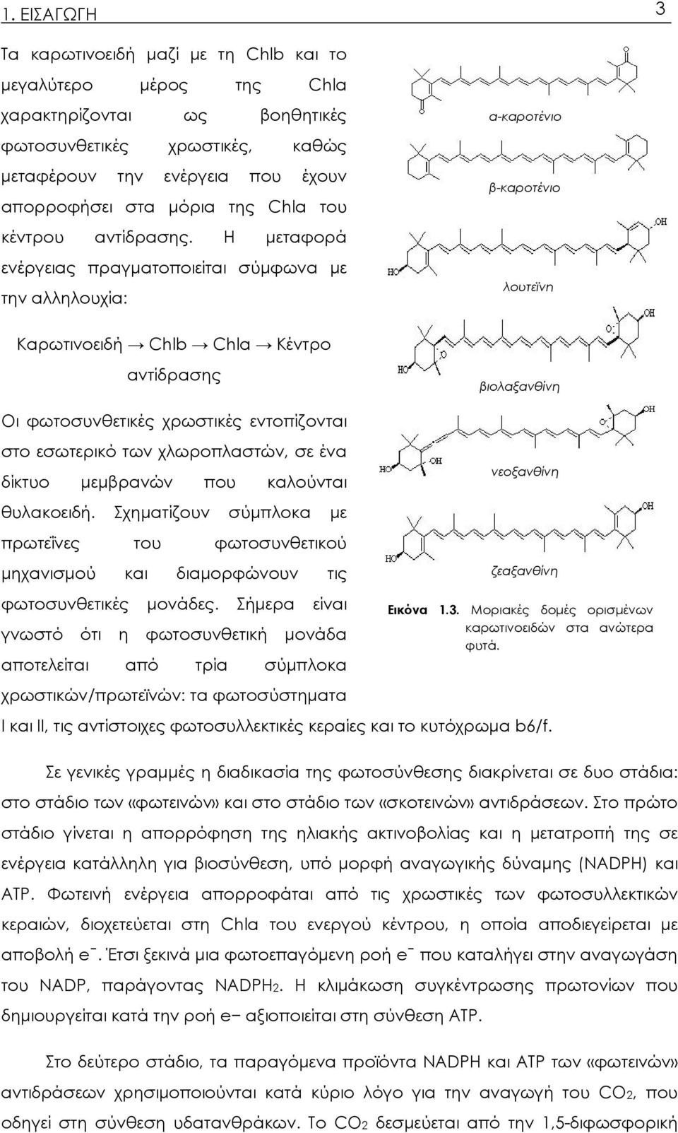 Η μεταφορά ενέργειας πραγματοποιείται σύμφωνα με την αλληλουχία: β-καροτένιο λουτεϊνη Καρωτινοειδή Chlb Chla Κέντρο αντίδρασης βιολαξανθίνη Οι φωτοσυνθετικές χρωστικές εντοπίζονται στο εσωτερικό των