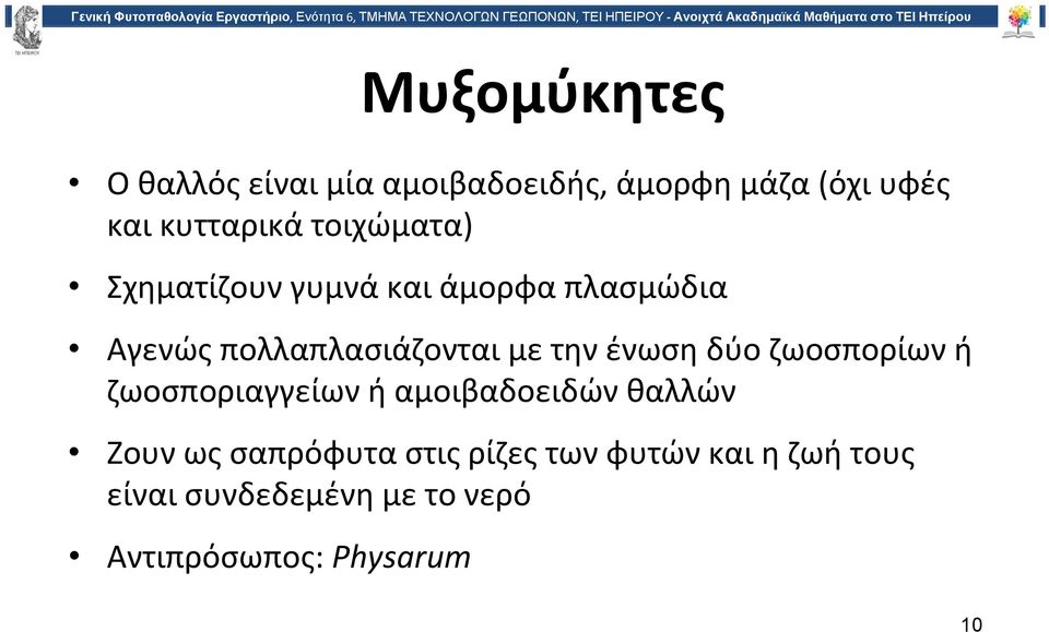 ένωση δύο ζωοσπορίων ή ζωοσποριαγγείων ή αμοιβαδοειδών θαλλών Ζουν ως σαπρόφυτα