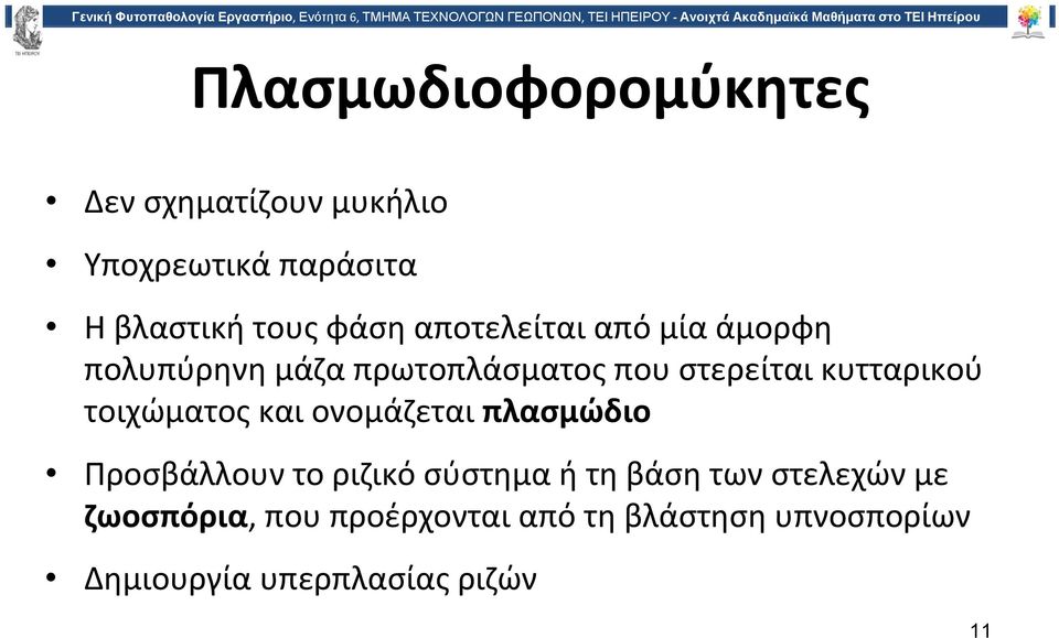 τοιχώματος και ονομάζεται πλασμώδιο Προσβάλλουν το ριζικό σύστημα ή τη βάση των