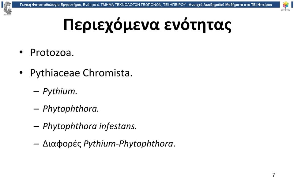 Phytophthora.